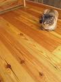 Southern Yellow Pine Flooring / 4.75" width with nail holes and character Southern Yellow Pine Flooring / 4.75" width with nail holes and character